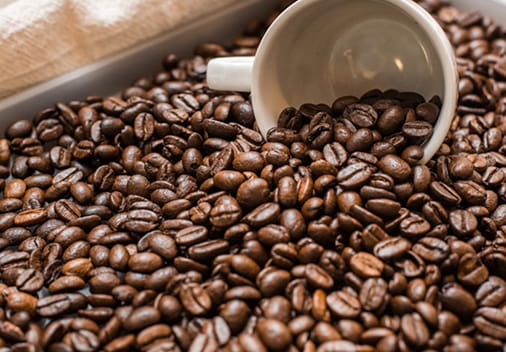A modern coffee producer with decades of experience.